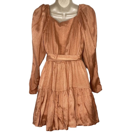 Lovers + Friends | NWT Corinne Mini Dress in Clay Size XXS - Picture 5 of 8